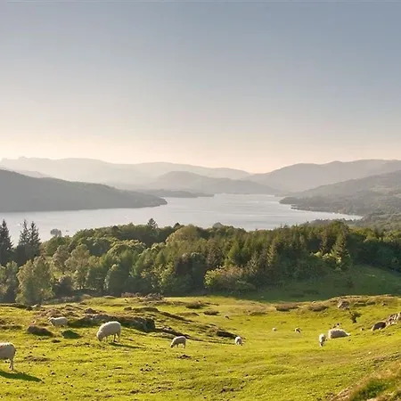 Tatil Evi Bellflower