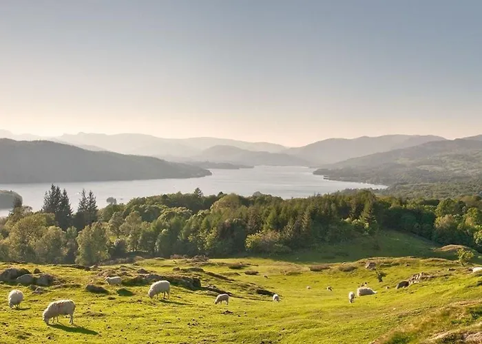 Semesterbostad Bellflower