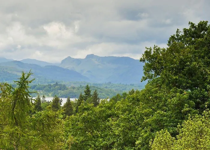 Bellflower * Windermere