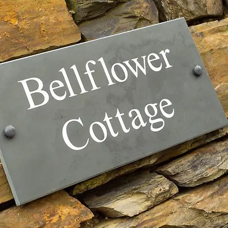 Bellflower 度假居